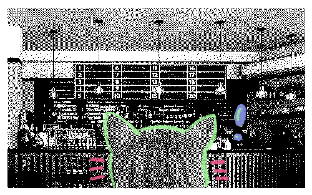 Sleepy cat waking up